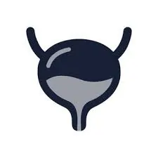 Bladder Control Support Icon SEO