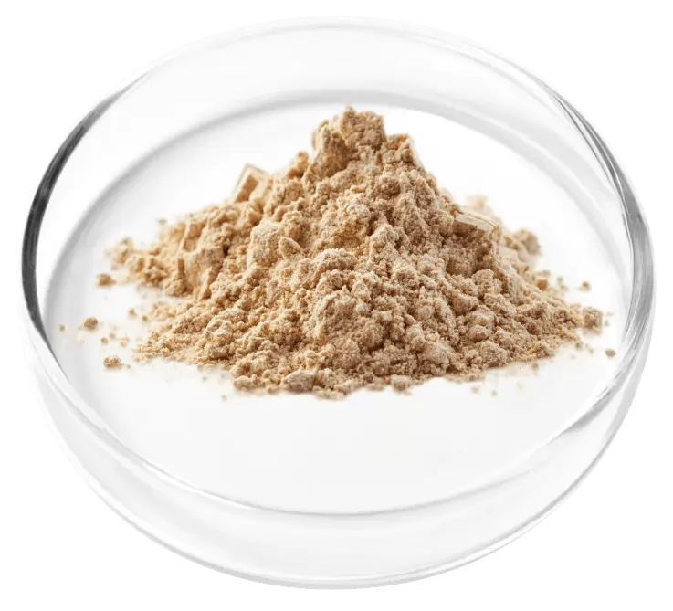 Granular Berberine SEO
